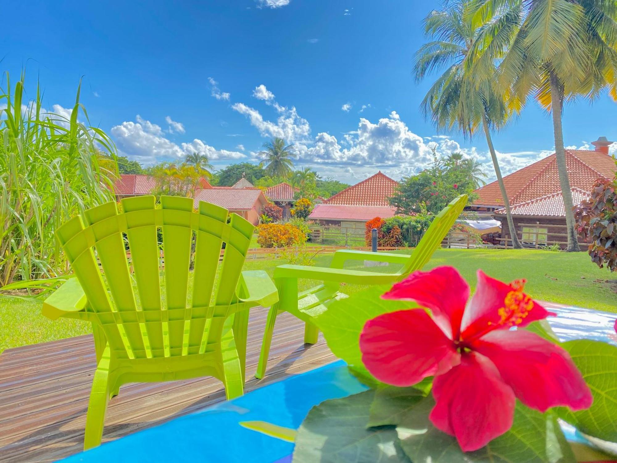 Studio Petite Plage - Pieds Dans L'Eau Sainte-Anne Exterior foto